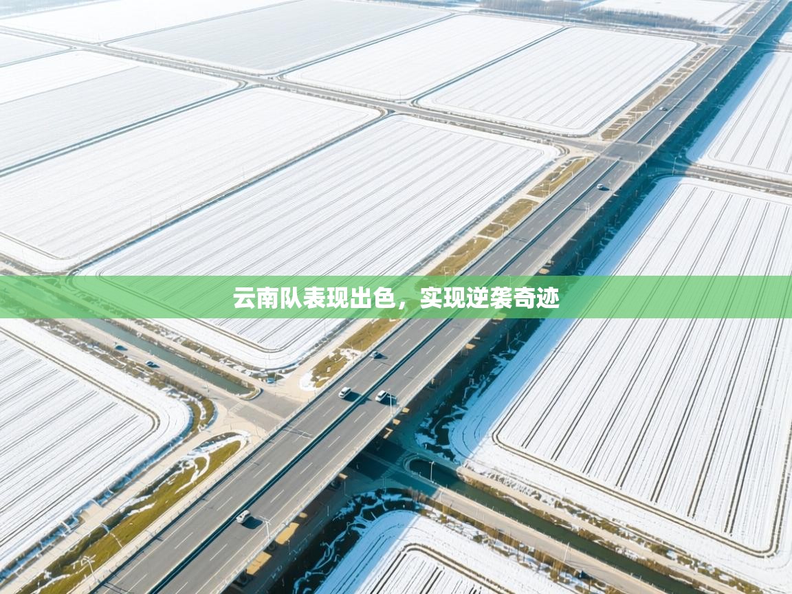 云南队表现出色，实现逆袭奇迹  第1张