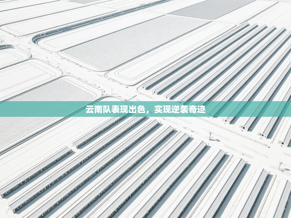 云南队表现出色，实现逆袭奇迹  第2张