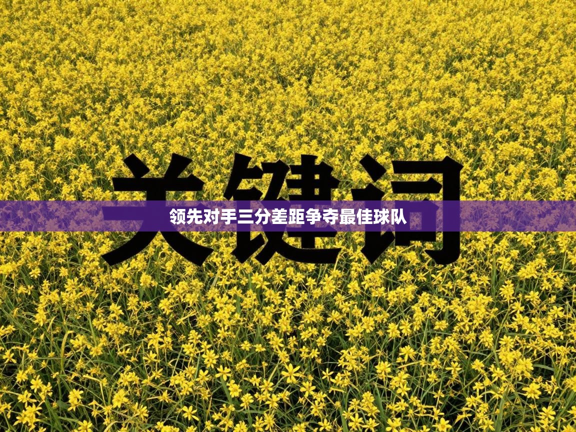 领先对手三分差距争夺最佳球队 第2张