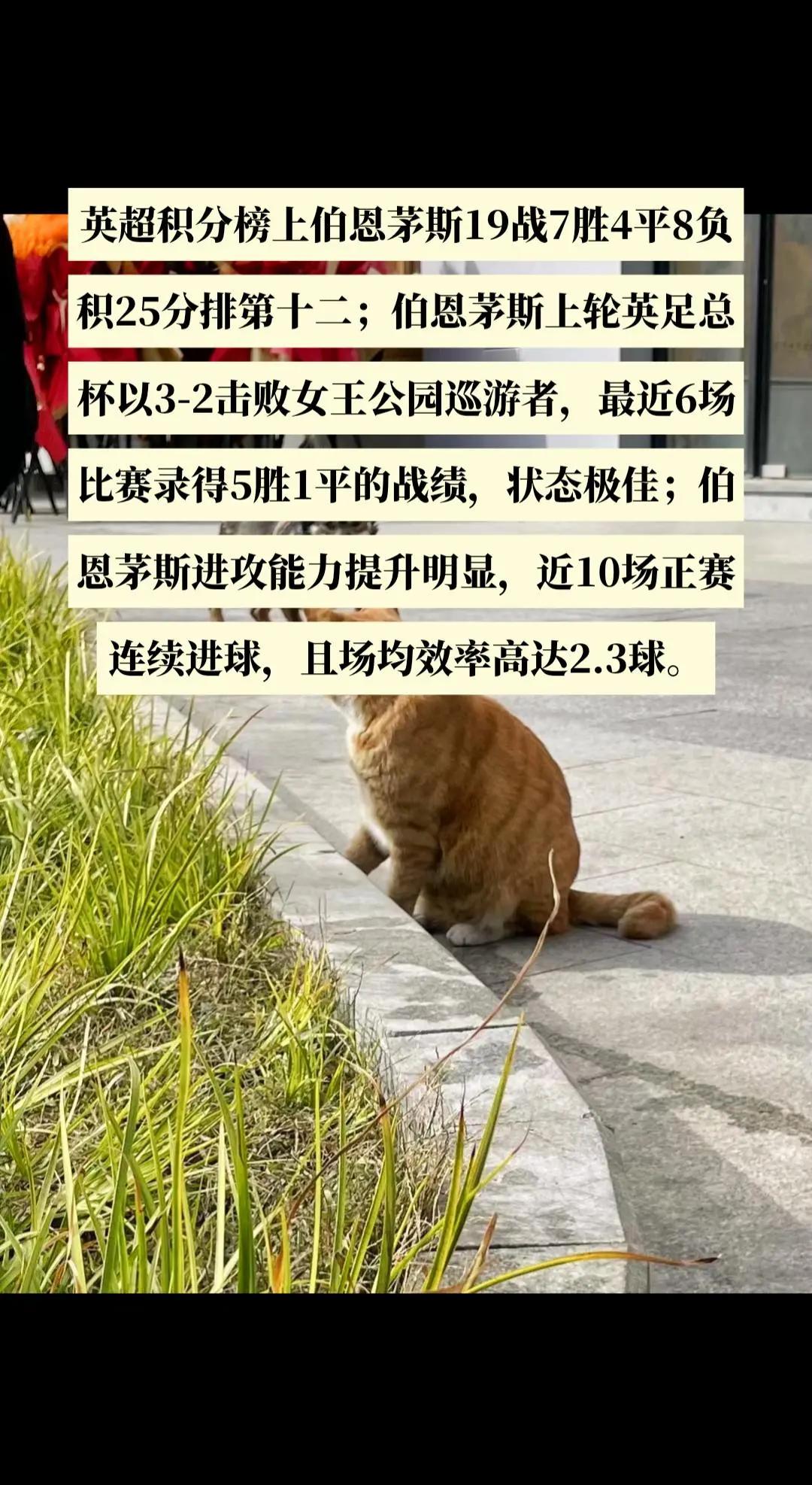 伯恩茅斯主场取胜，积分榜上升