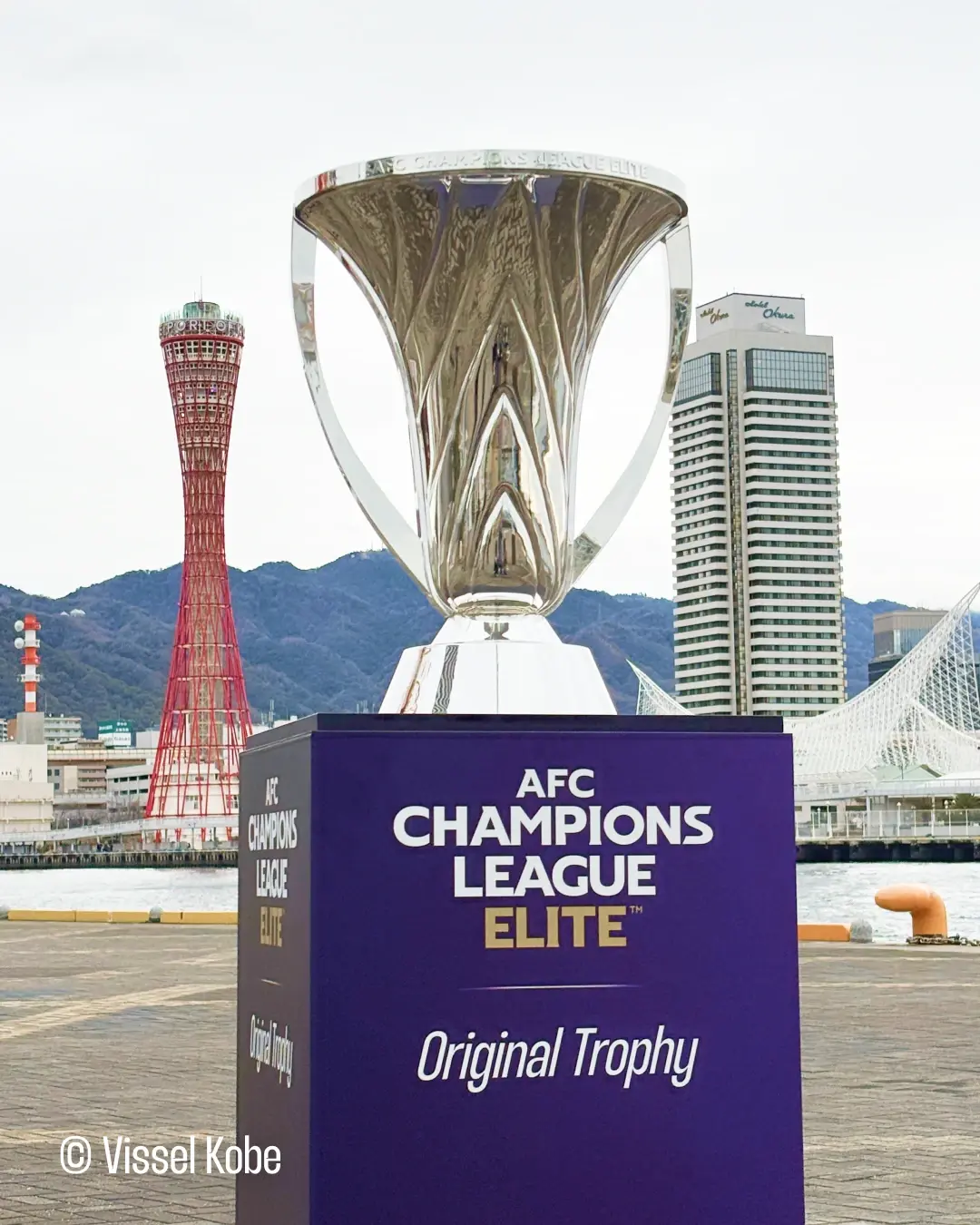 日本球队豪取胜利，亚冠赛场火爆尽显