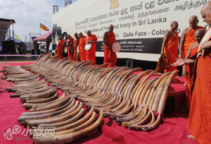 爱游戏官网网页版入口-斯里兰卡击败坦桑尼亚夺得铜牌！的简单介绍