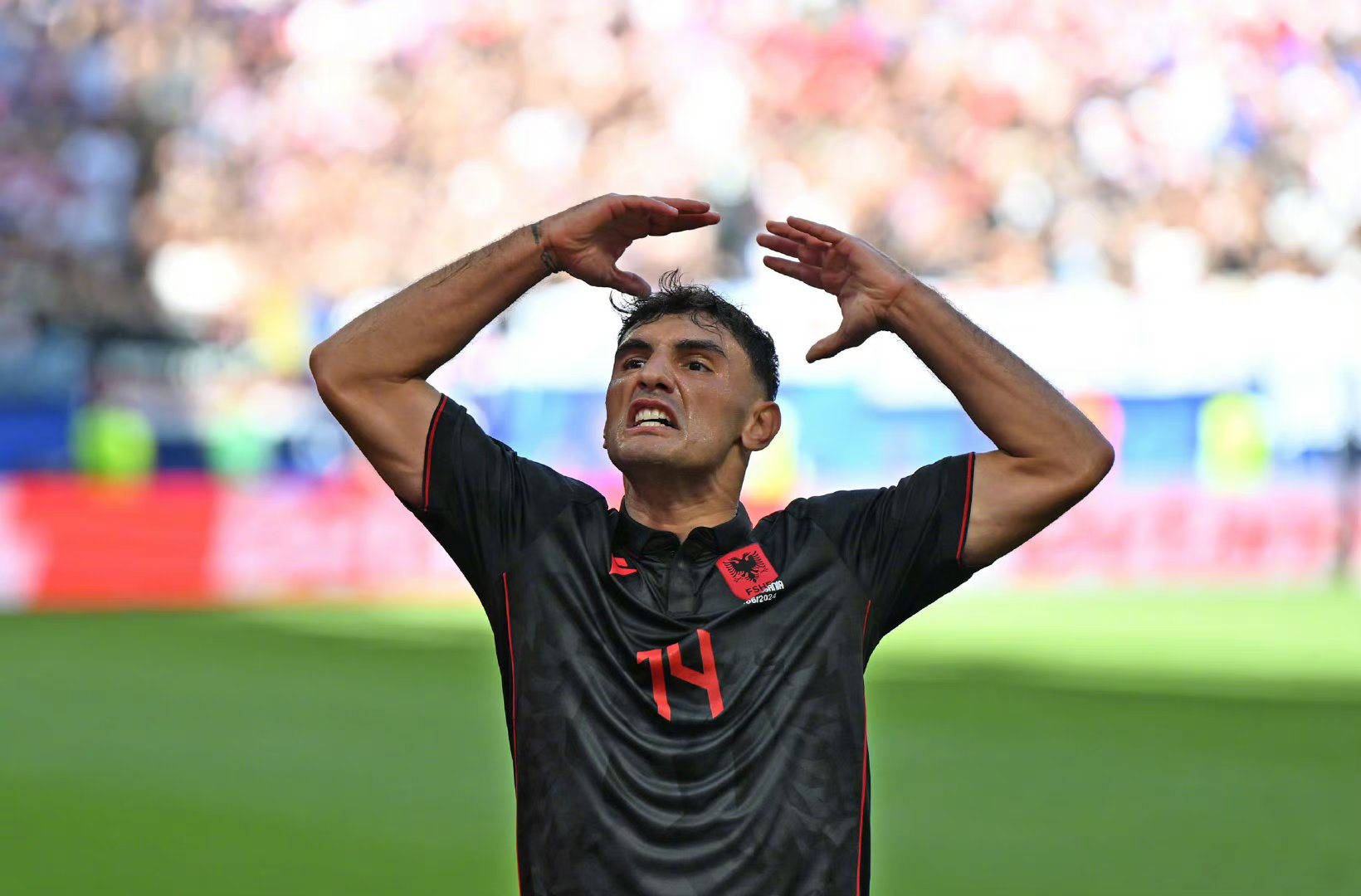 关于克罗地亚代表队积极备战，志在必得的信息